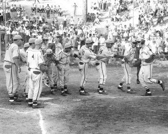 article image - Pony1